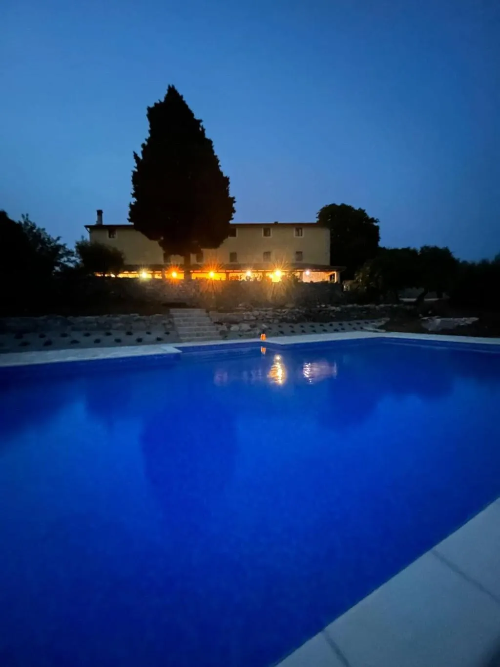 Pool, Villa Calussovo, Istria