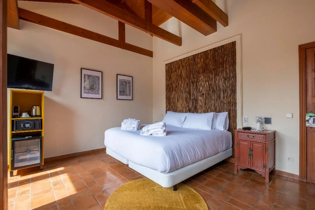 Double or Twin STANDARD Room, Hotel Cetina Palacio Ayala Berganza, Madrid