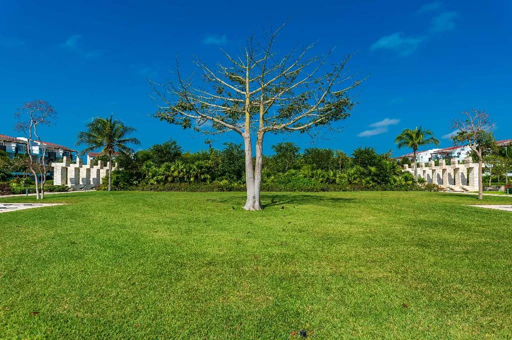 Terrace, Mareazul Beach Front Resort Playa del Carmen, Playa Del Carmen