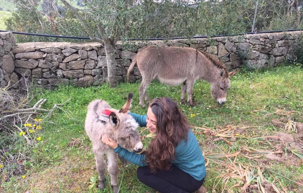 Sports and Entertainment, Agriturismo Lu Branu, Olbia