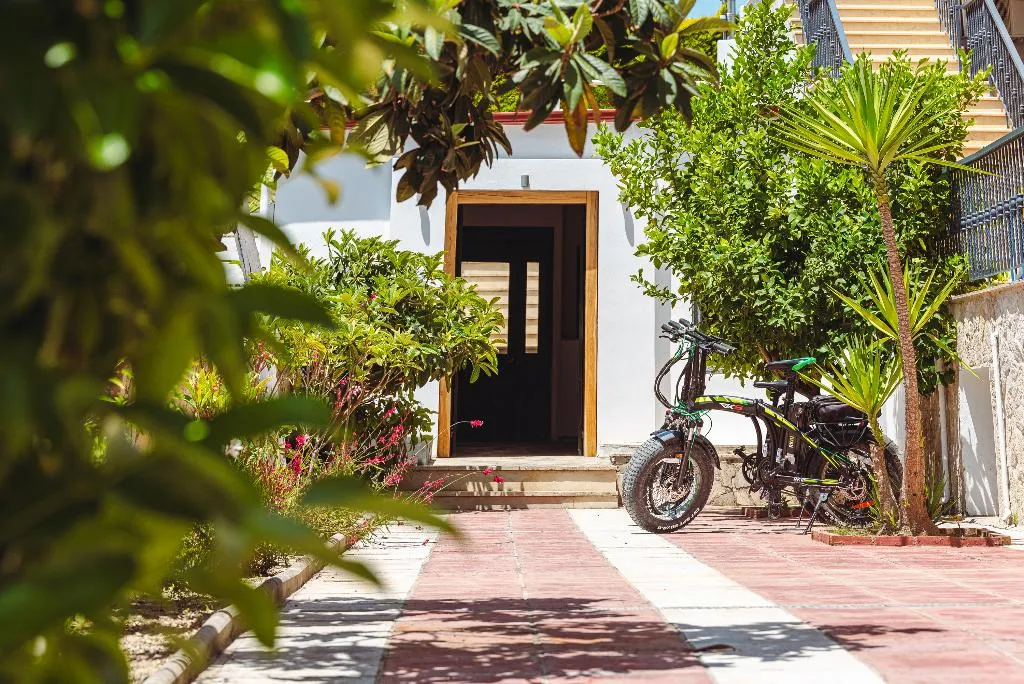 Sports and Entertainment, Ampelia Hotel Kassandra, Halkidiki