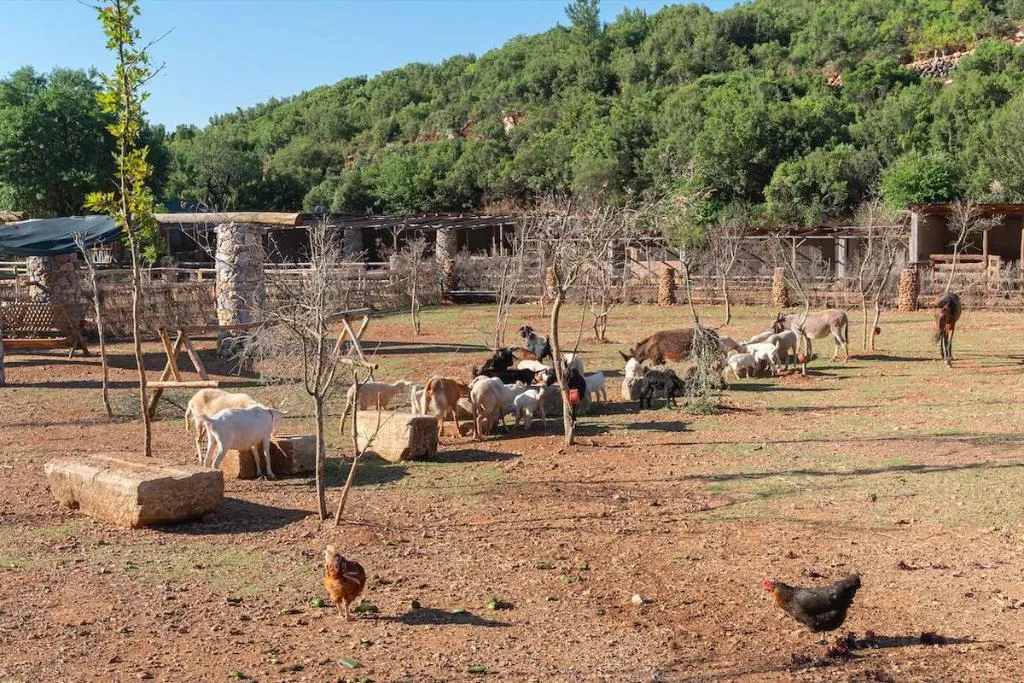 General view, Yenice Vadi Natural Life Village, Dalaman