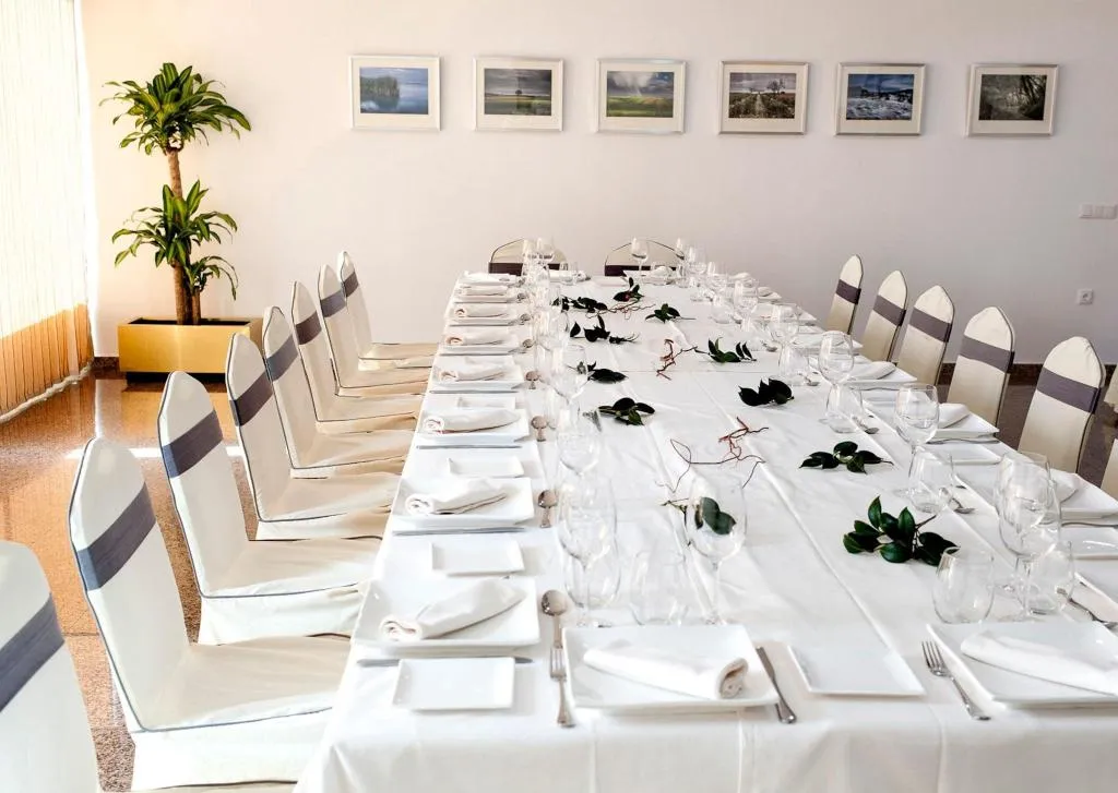 Conferences, Hotel Insula Barataria, Madrid