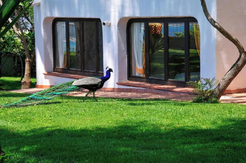 Lobby, Arbatax Park RES-Ville Del Parco by Falkensteiner, Cagliari