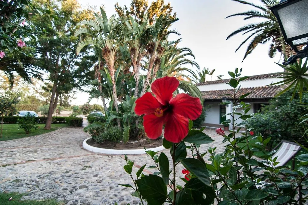 Terrace, Cortijo Las Piñas, Costa De La Luz