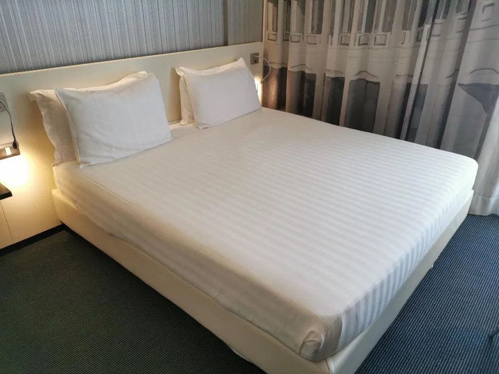 DOUBLE SUPERIOR WITH BALCONY Room, ibis Styles Roma Eur, Rome