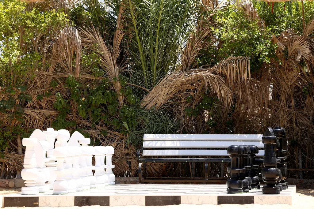 Sports and Entertainment, MinaMark Beach Resort - Families & Couples Only, Red Sea Riviera