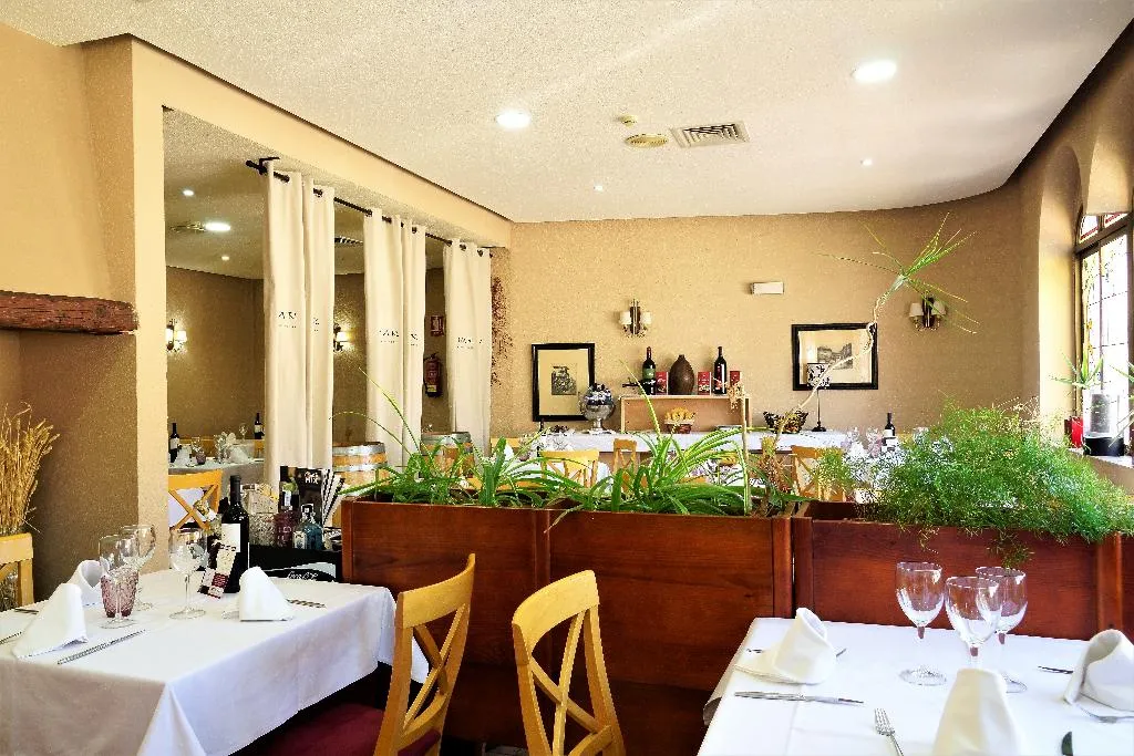 General view, Hotel Vivar, Madrid