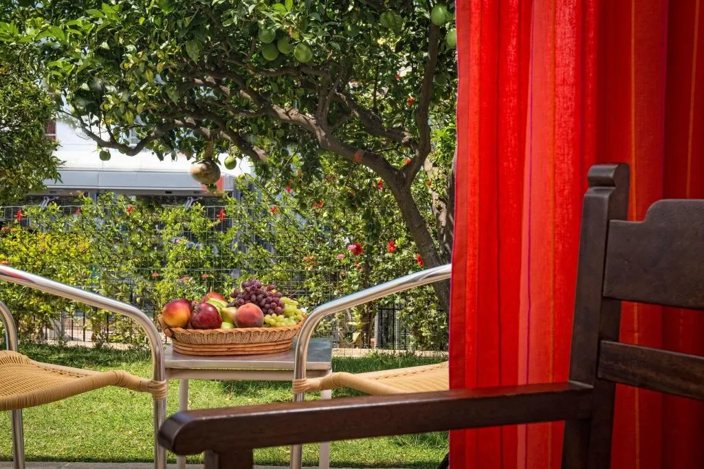 Terrace, Malia Holidays, Crete