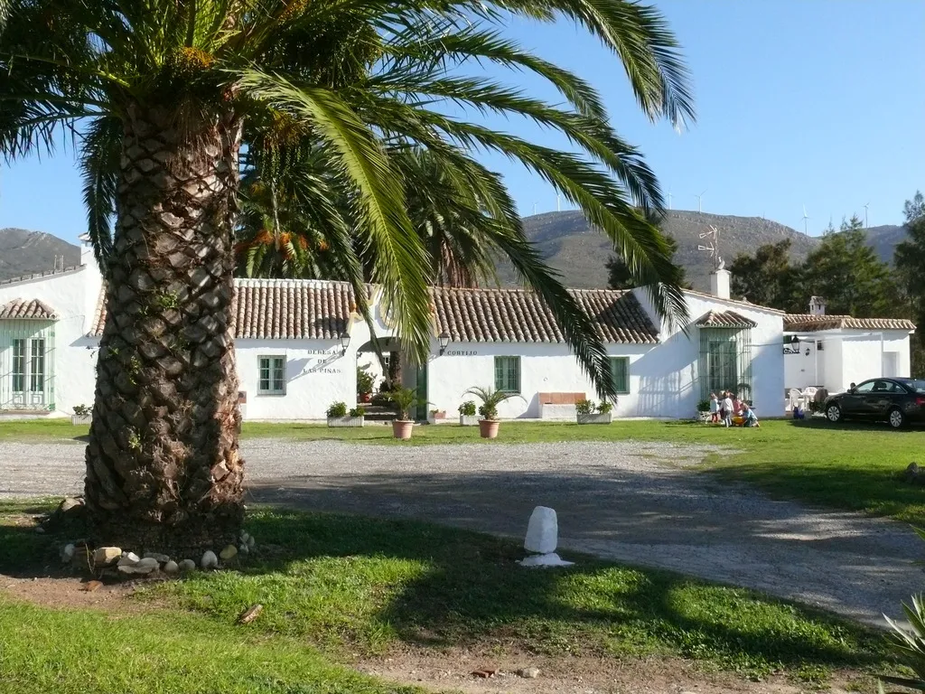 General view, Cortijo Las Piñas, Costa De La Luz