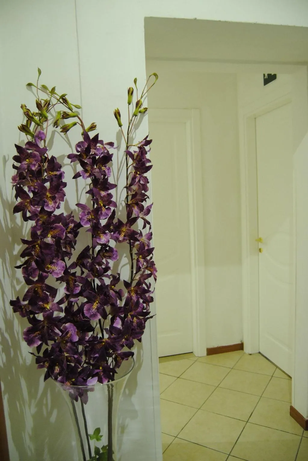 Lobby, Adelaide House, Florence