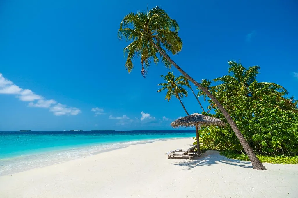 Beach, Milaidhoo Island Maldives, Male