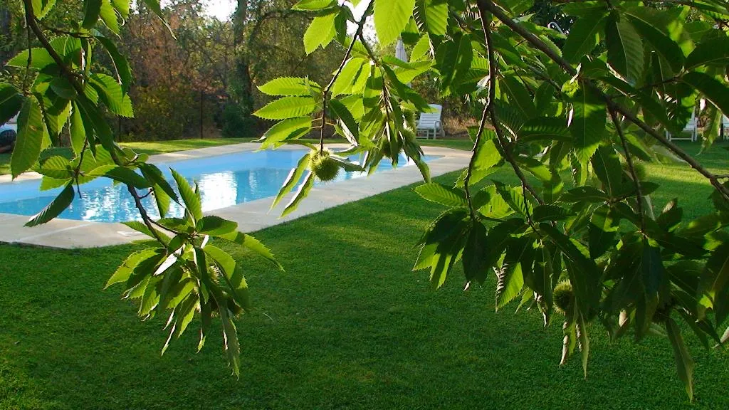 Pool, Finca la Media Legua, Seville