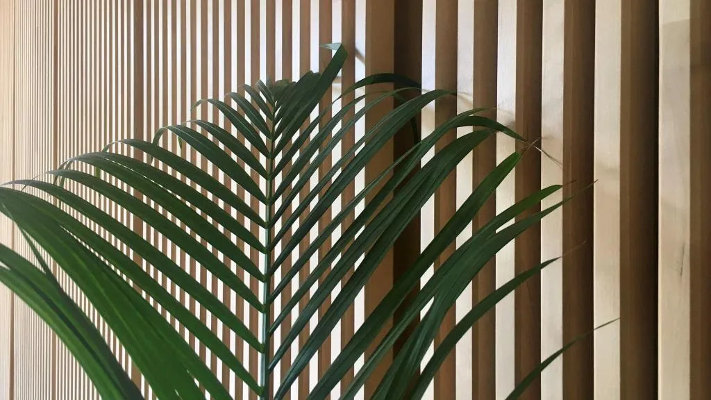 Lobby, B&B Mare de Deu Jardines del Turia, Valencia