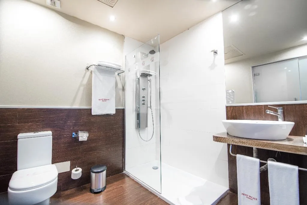SINGLE STANDARD Room, Petit Palace Boquería Garden, Barcelona