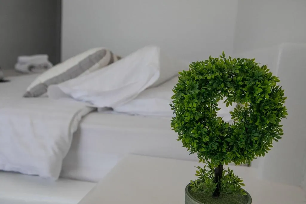 DOUBLE DELUXE GARDEN VIEW Room, Acrogiali, Mykonos