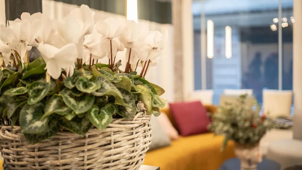 Lobby, Soho Boutique Congreso, Madrid