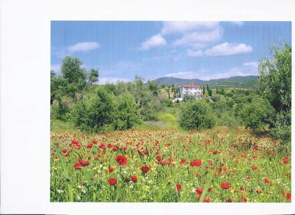 General view, Sartivista, Halkidiki