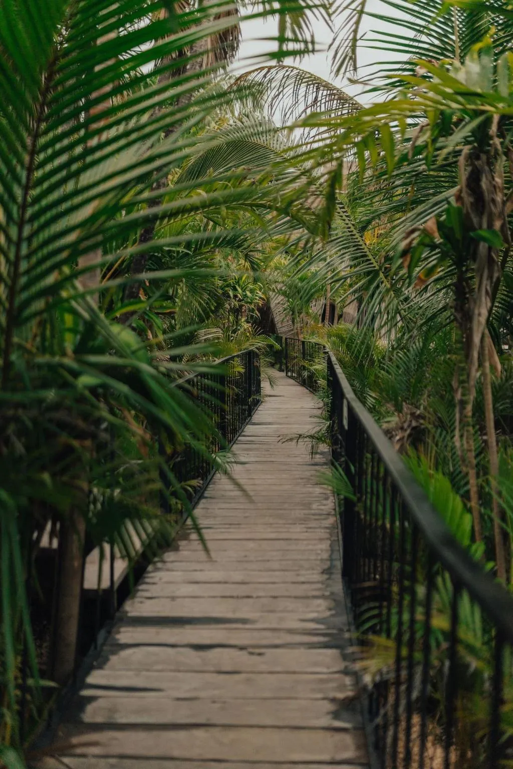General view, The Radhoo Adults Only, Cancun Area