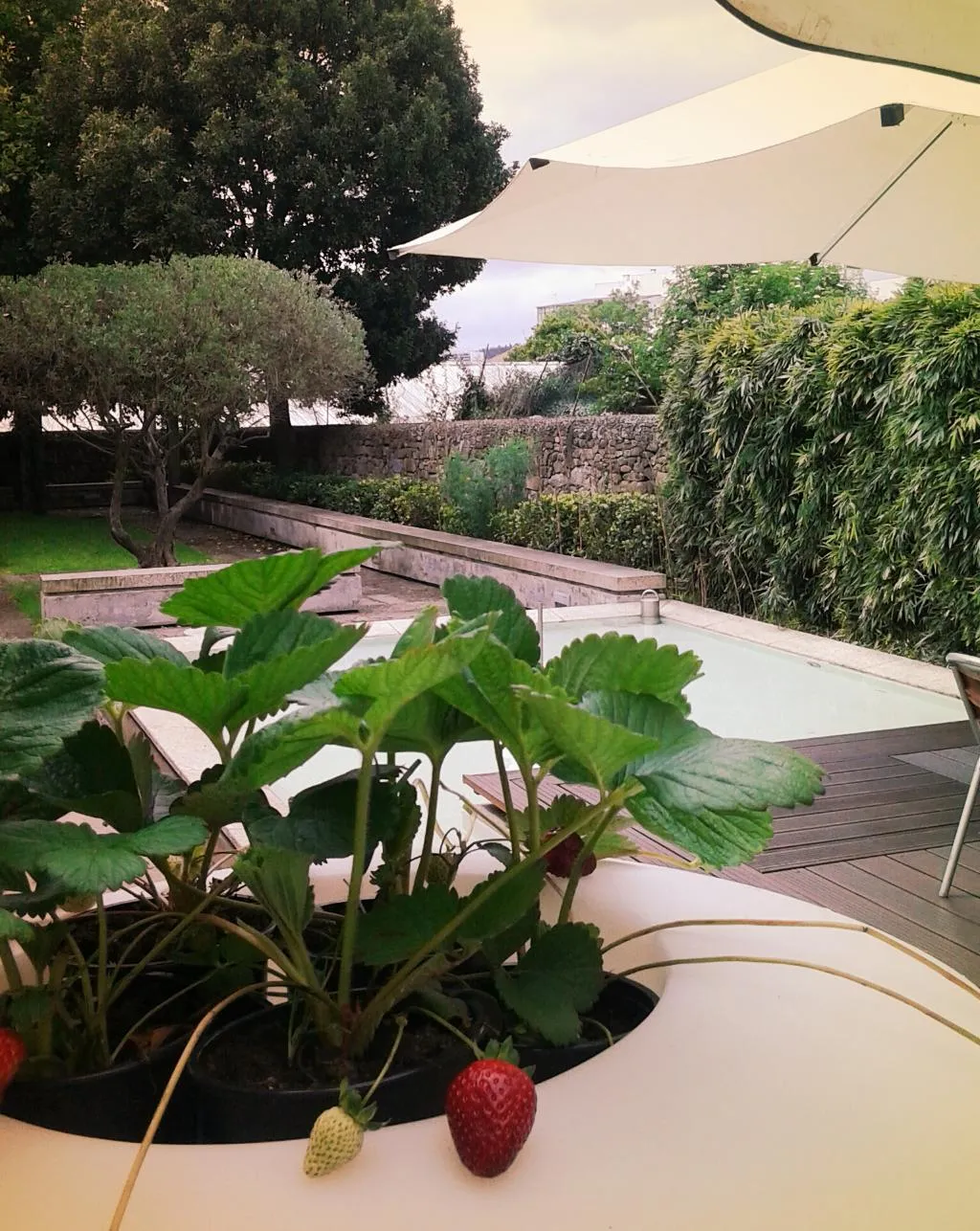 Terrace, Bracara Augusta, Porto