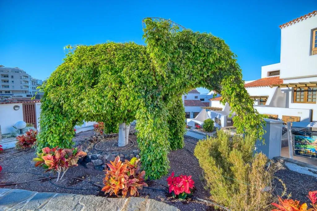 General view, Las Rosas, Tenerife