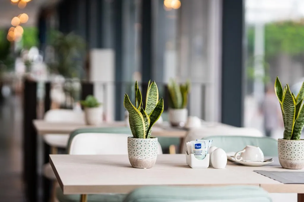Restaurant, Hotel LIVVO Lumm, Gran Canaria