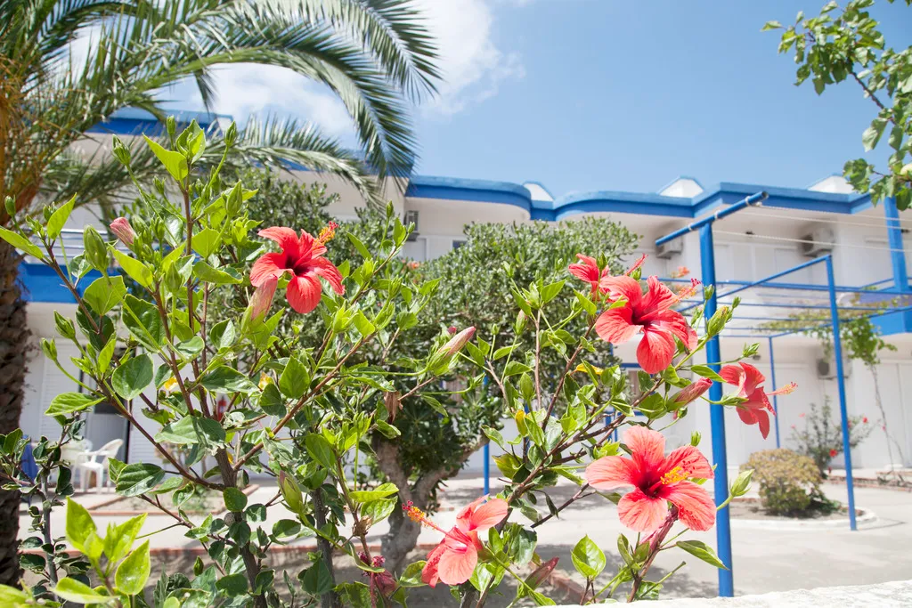 Lobby, Maritsa Studios, Kos