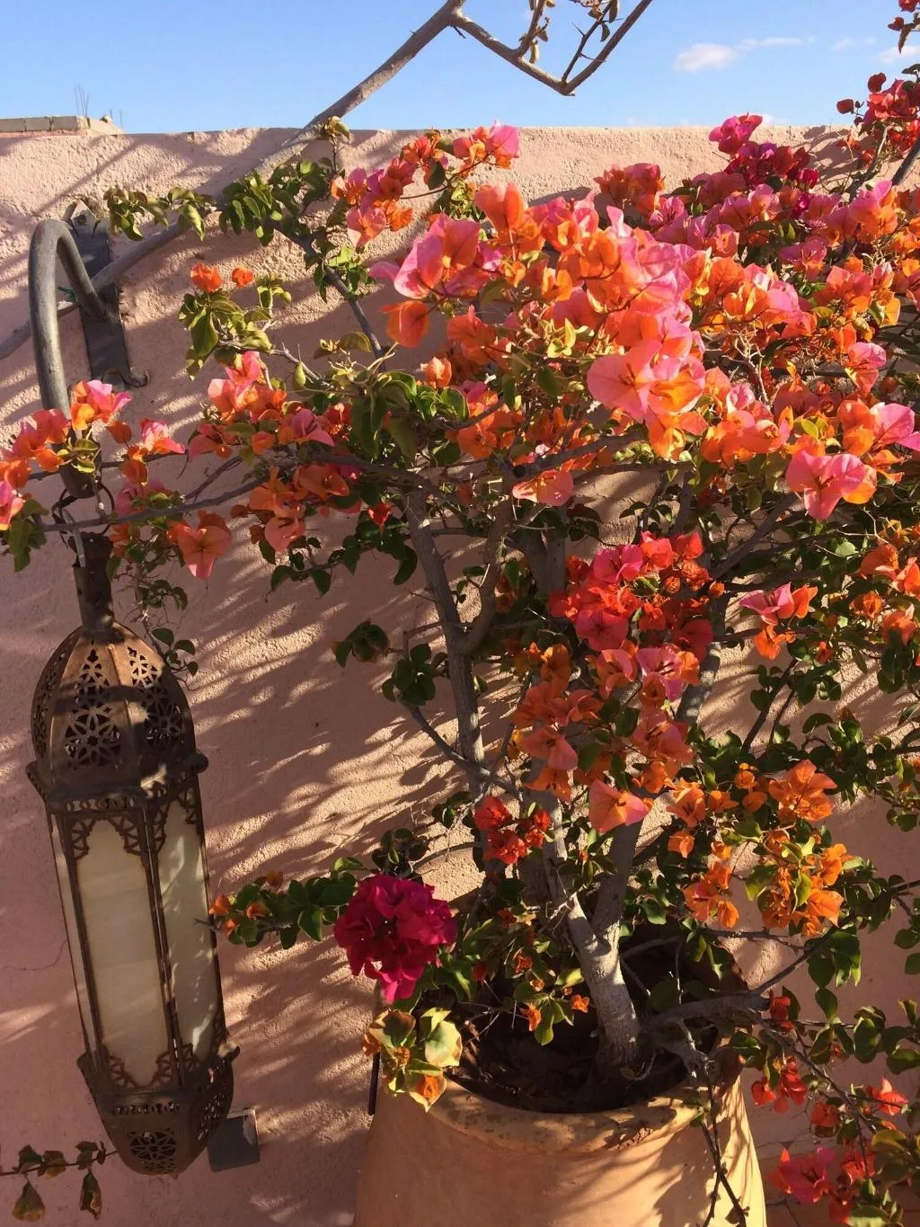 Terrace, Riad Irene, Marrakech