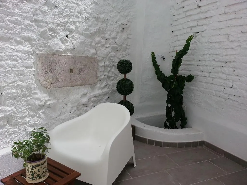 Terrace, La Siesta Málaga Guesthouse, Costa Del Sol