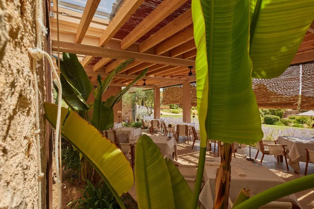 Restaurant, Hotel Pleta de Mar, Majorca