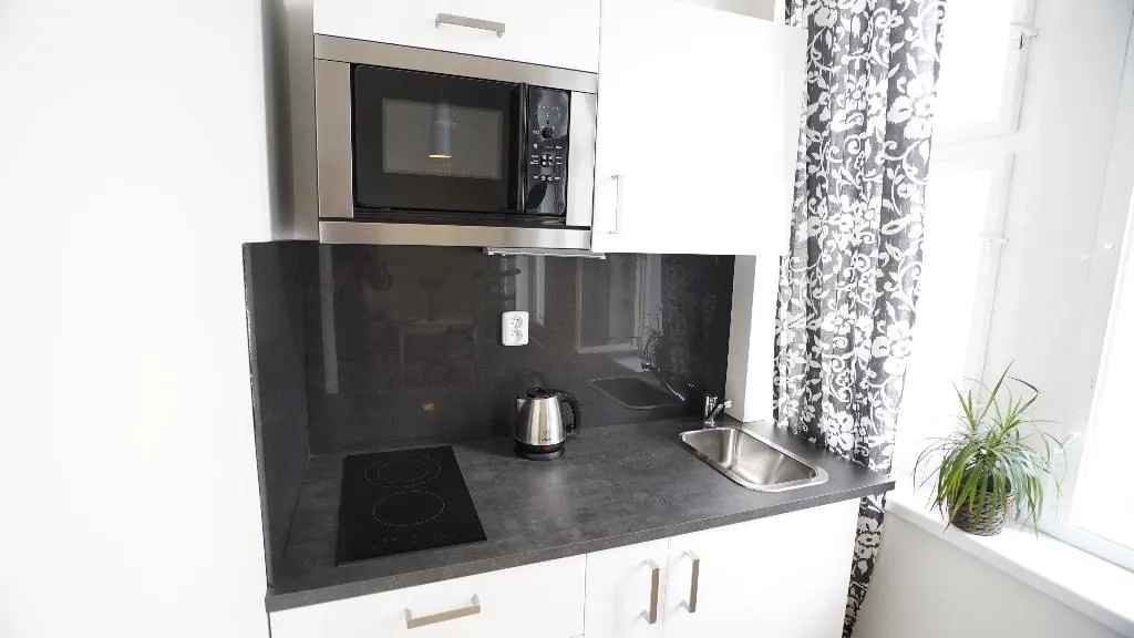 STUDIO WITH DOUBLE BED Room, Royal Road Residence, Prague