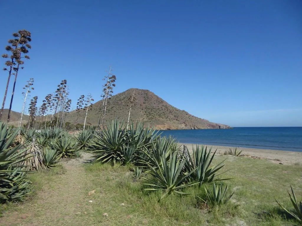 Beach, B&B Cortijo El Sarmiento - Adults Only, Costa Almeria