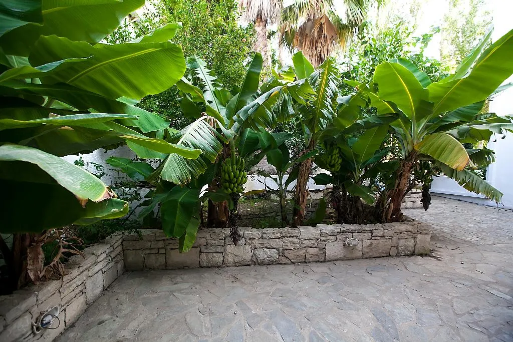 Terrace, Julia apartments, Crete