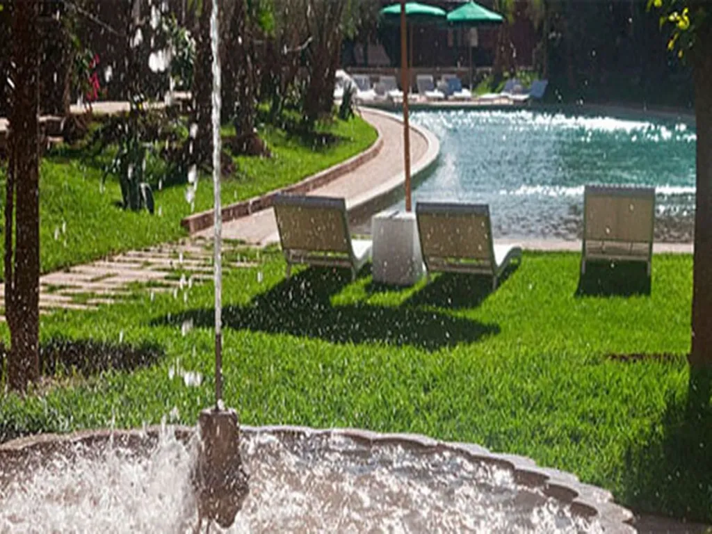 Pool, Host Janat Azaitoune, Marrakech