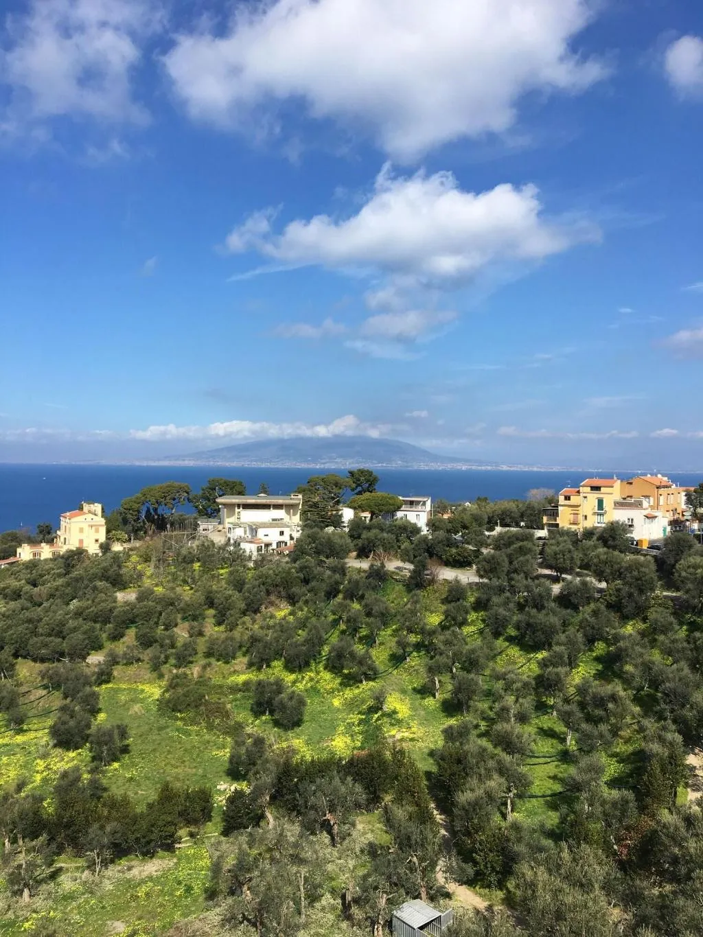 General view, Dania, Naples
