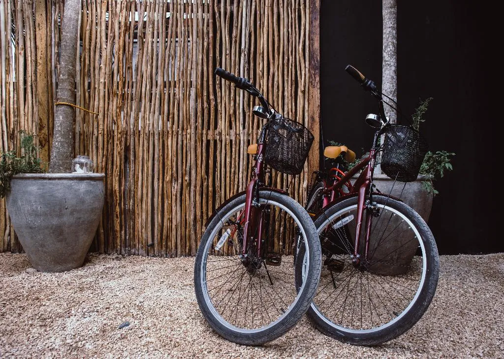 Sports and Entertainment, Aroma Tulum, Cancun Area