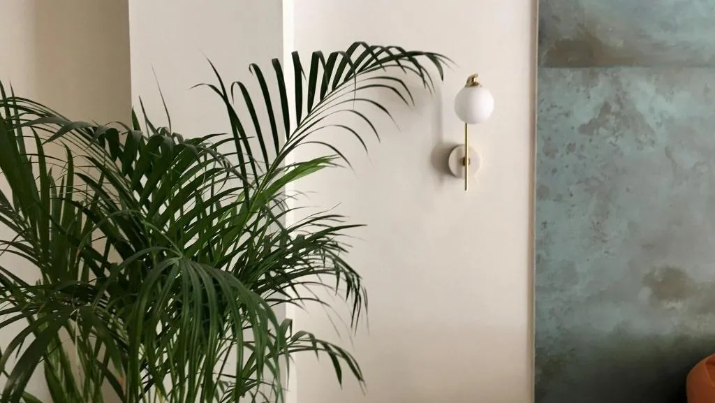 Lobby, B&B Mare de Deu Jardines del Turia, Valencia