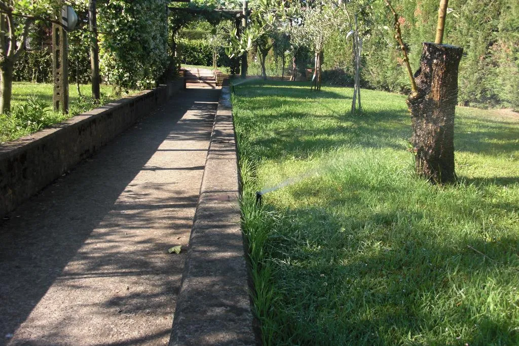 Terrace, B&B Green Paradise, Naples