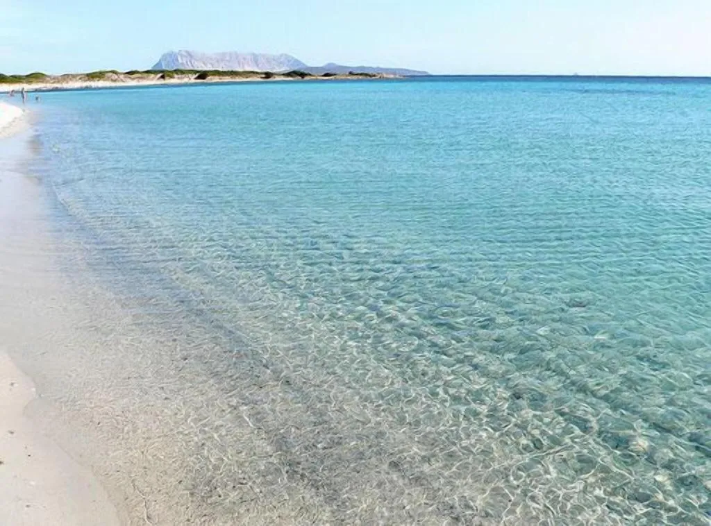 Beach, Hotel Castello Di Tavolara, Olbia