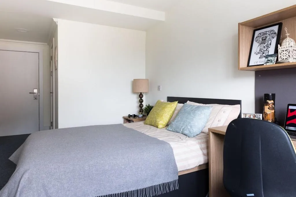 Room, The Montrose, Dublin