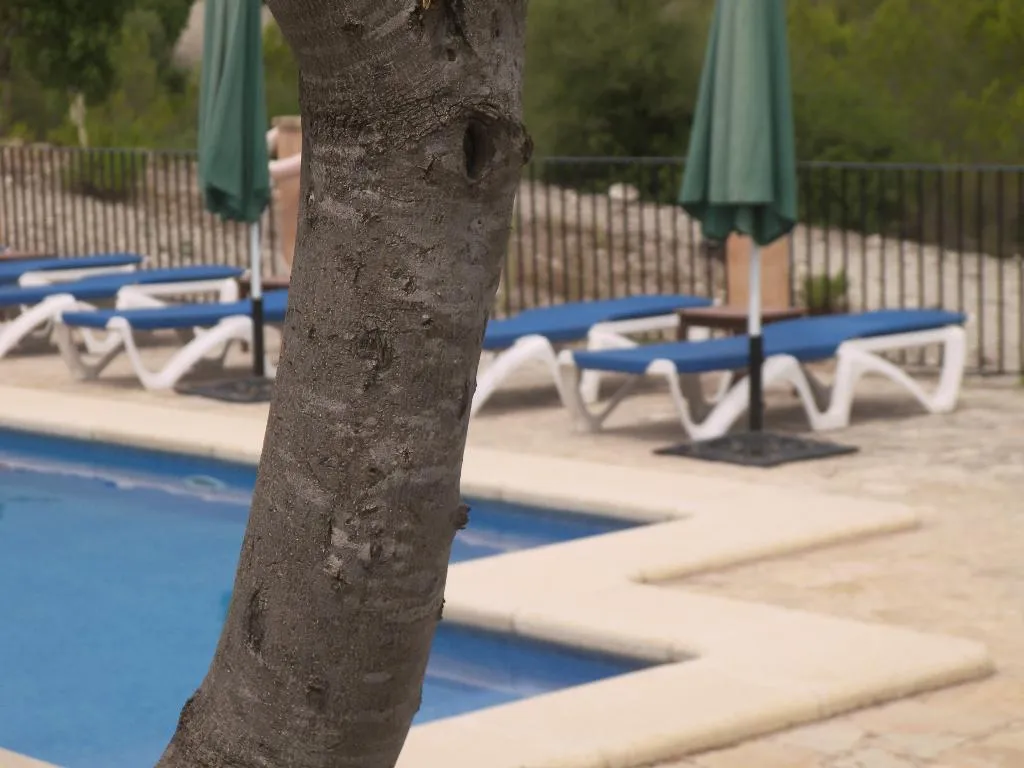 Pool, Agroturisme Es Picot, Majorca