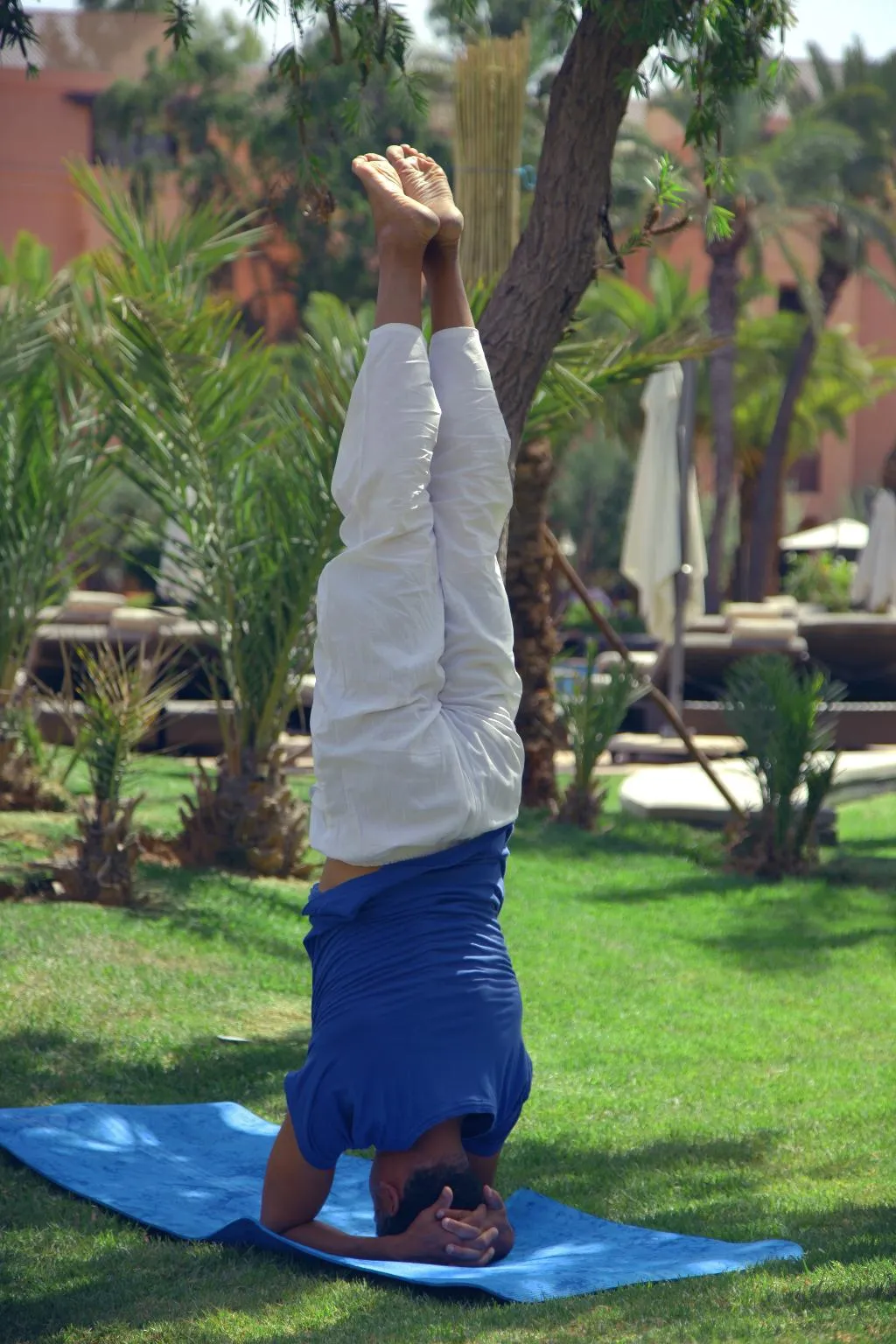 Sports and Entertainment, Les Jardins De Zyriab, Marrakech