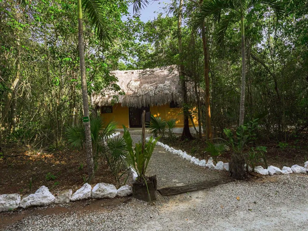 BUNGALOW STANDARD Room, Jolie Jungle, Cancun Area