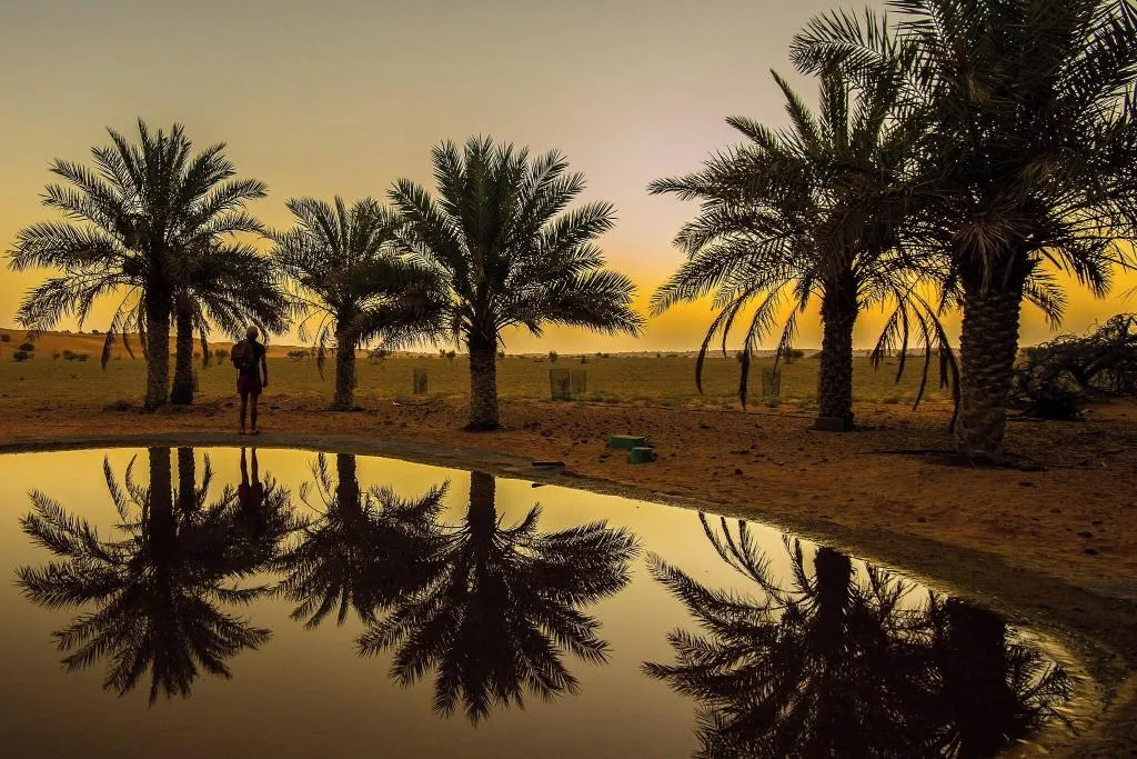 General view, Al Maha, a Luxury Collection Desert Resort & Spa, Dubai
