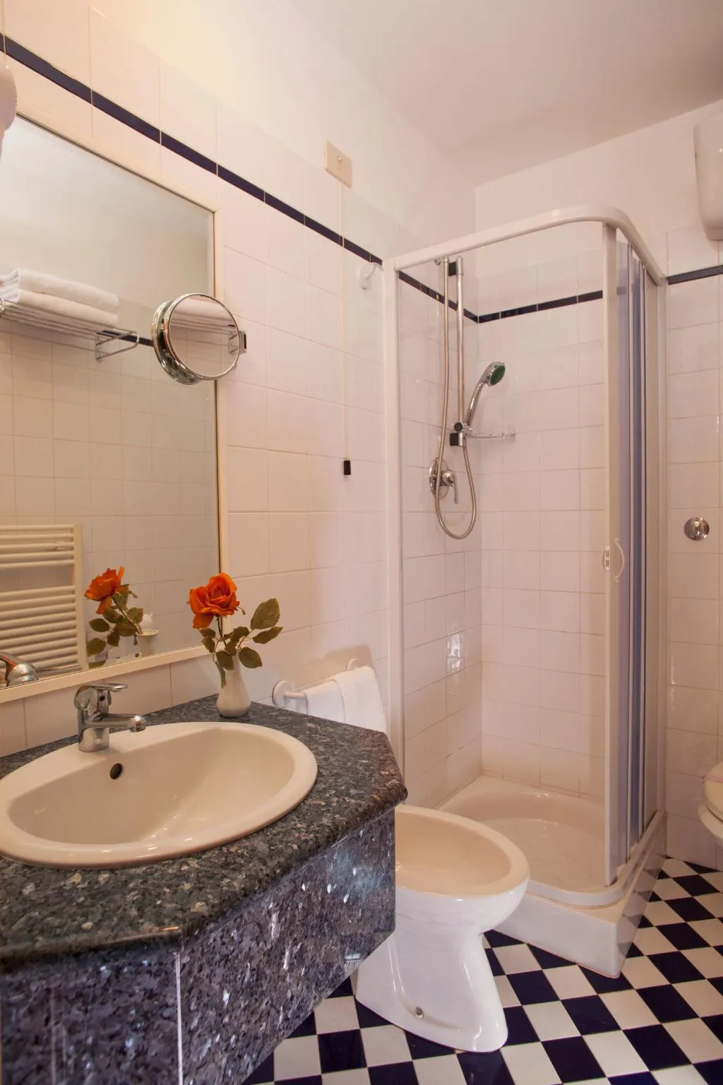 DOUBLE STANDARD Room, Piemonte, Rome