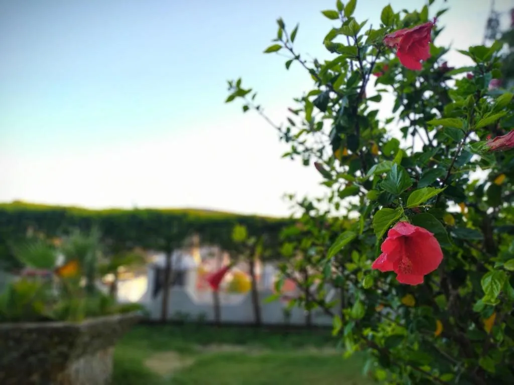 General view, Yalcin Hotel, Izmir