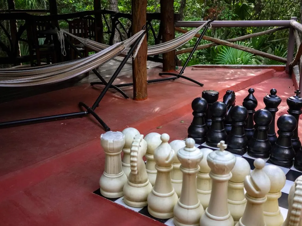 Sports and Entertainment, Jolie Jungle, Cancun Area