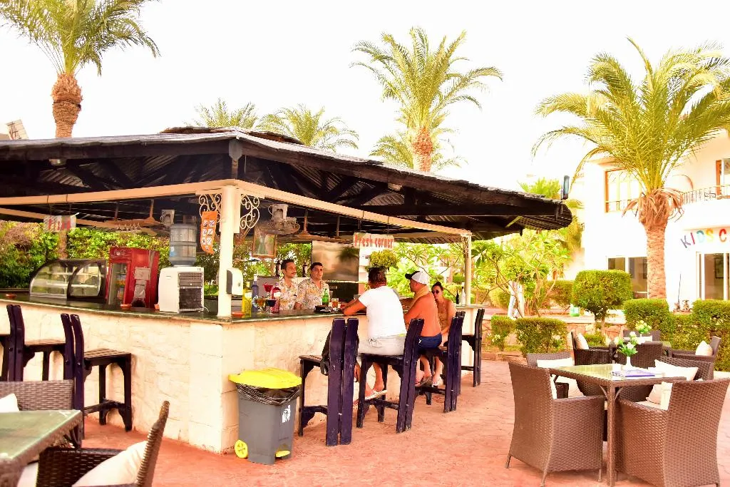 Bar, Dive Inn Resort, Red Sea Riviera