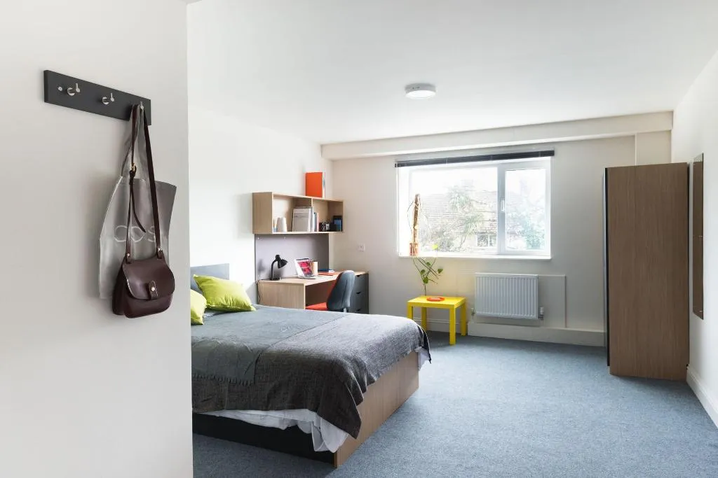Room, The Montrose, Dublin