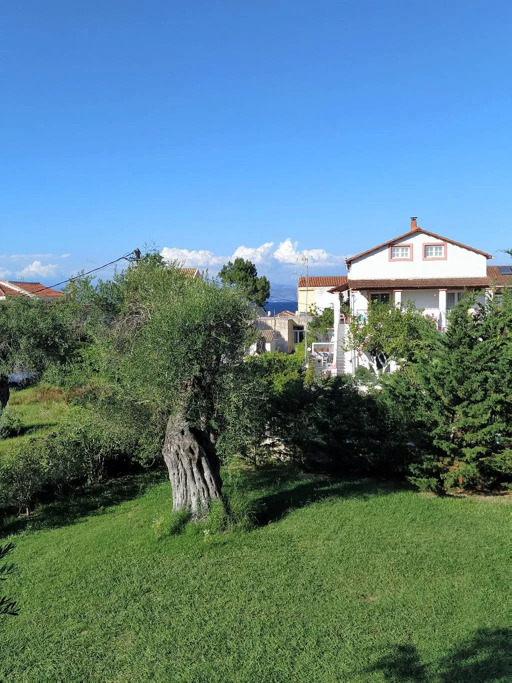 General view, Evergreen Kavos, Corfu